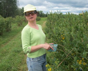 Me picking blueberries